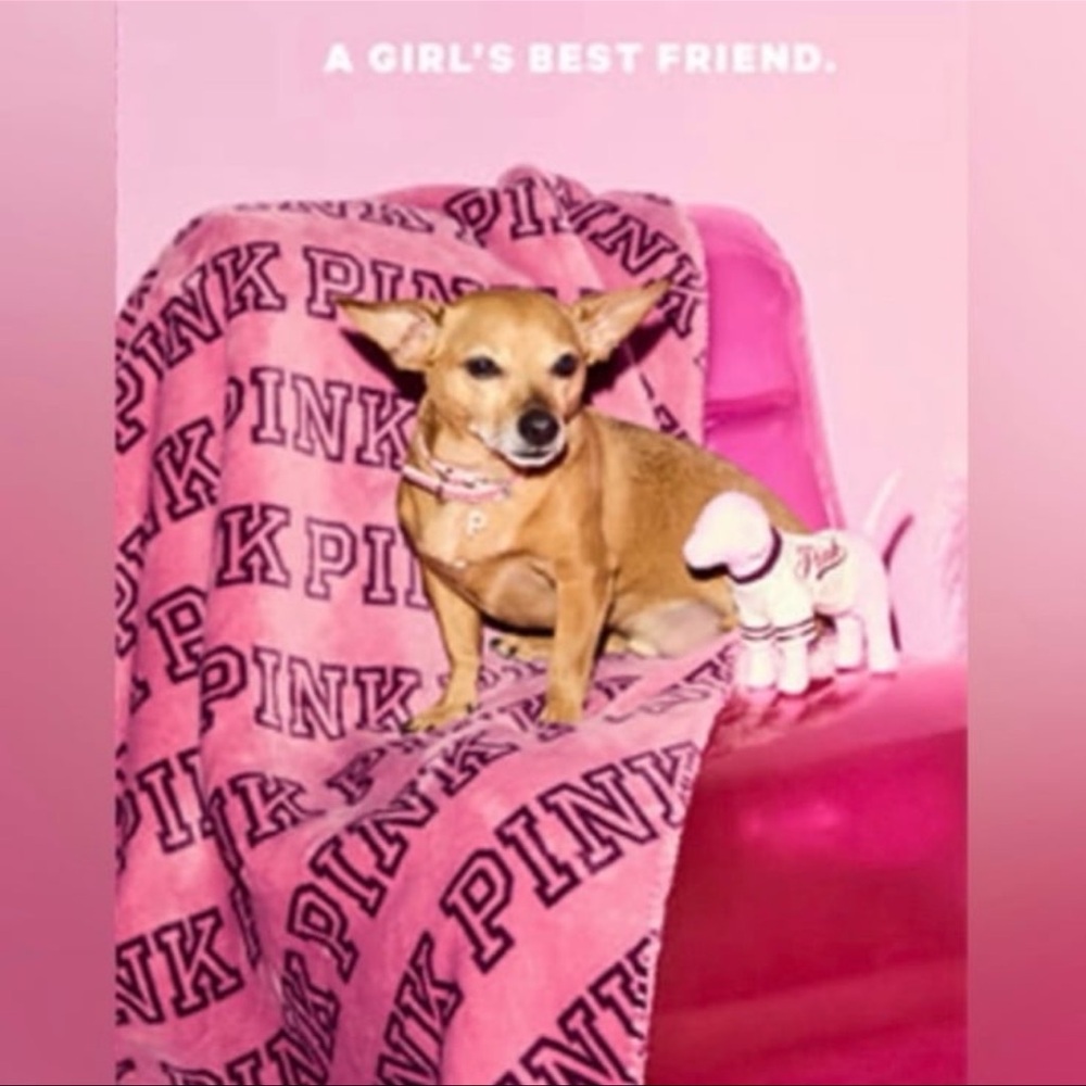 PINK Victoria's Secret 2025 PINK Logo Blanket with Plush Dog
